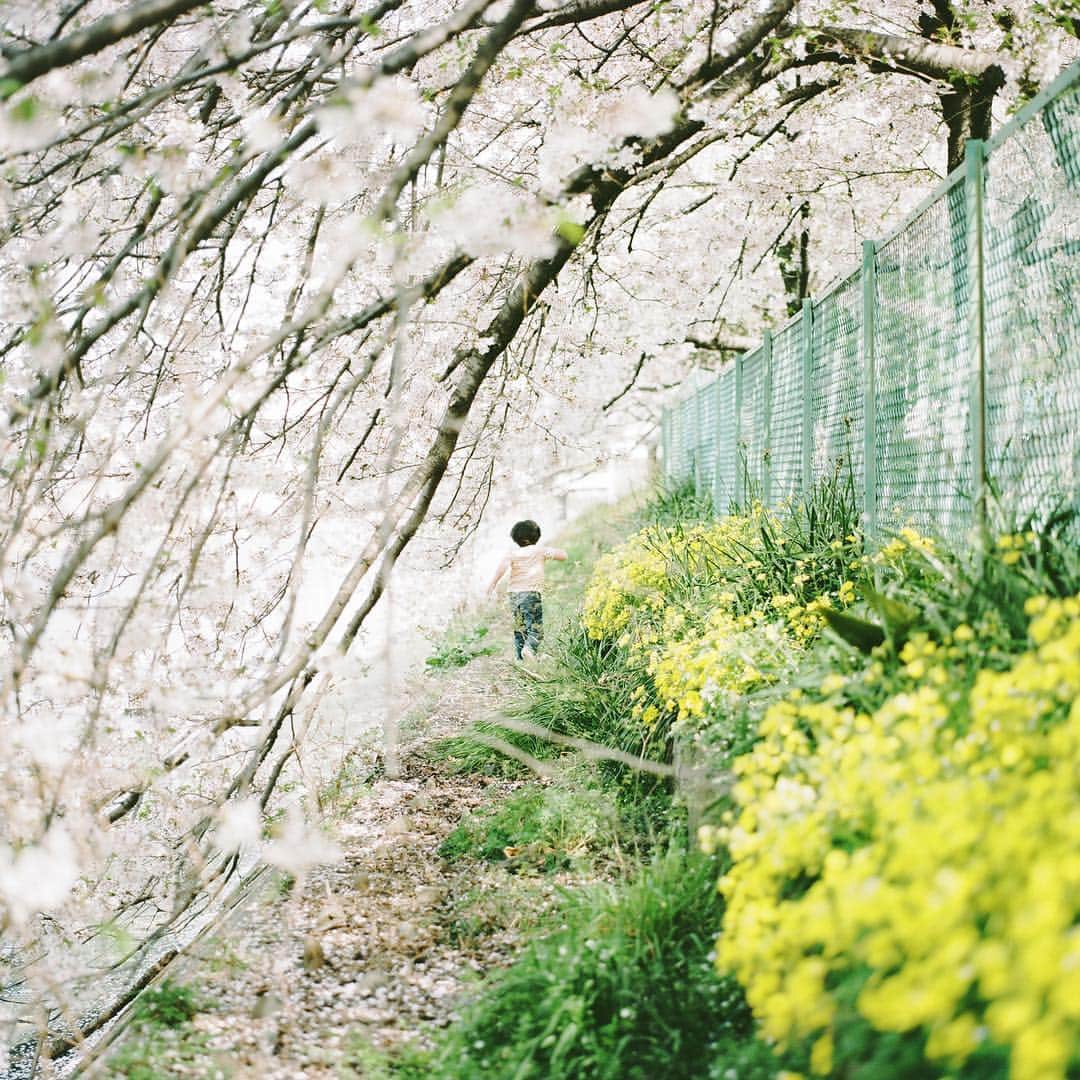 濱田英明のインスタグラム：「Thank you for the 10 years! from the classics, 2012-2014 #haruandmina #pentax67」