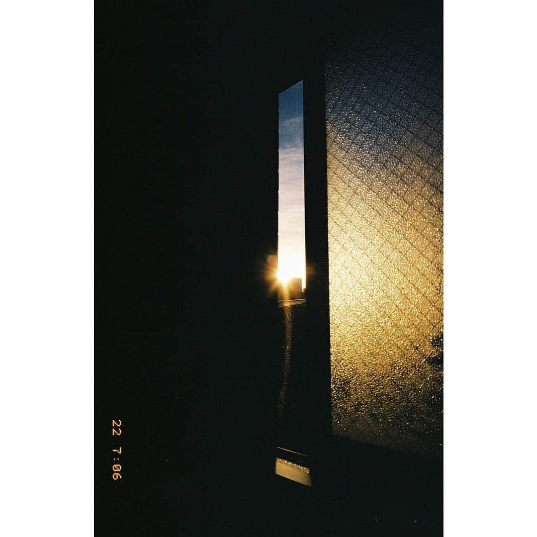 杉咲花のインスタグラム：「📸🌞 ひとつの作品が終わるといつも写真を撮りたくなります。 これまでに撮った写真を見返していると、懐かしい音楽を聴くときみたいに匂いも鼓動も蘇ってくるようで切なくなるし、ワクワクもする。こういう気持ちはこれからの自分へ、とっておきのものになるとわたしは思っているから、これからもいっぱい撮りたいです。」