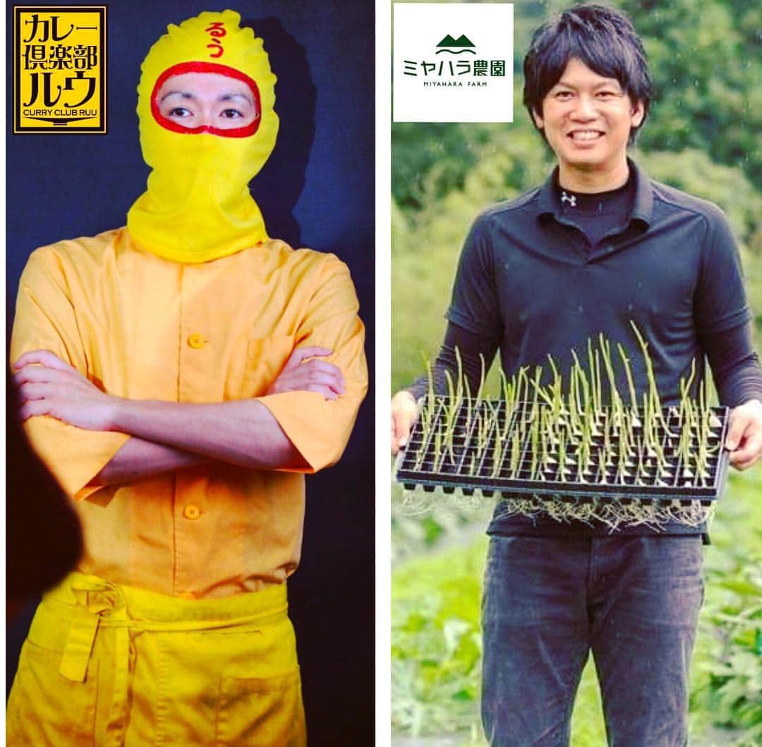 チキン南蛮カレーのルウ王子のグルメインスタ