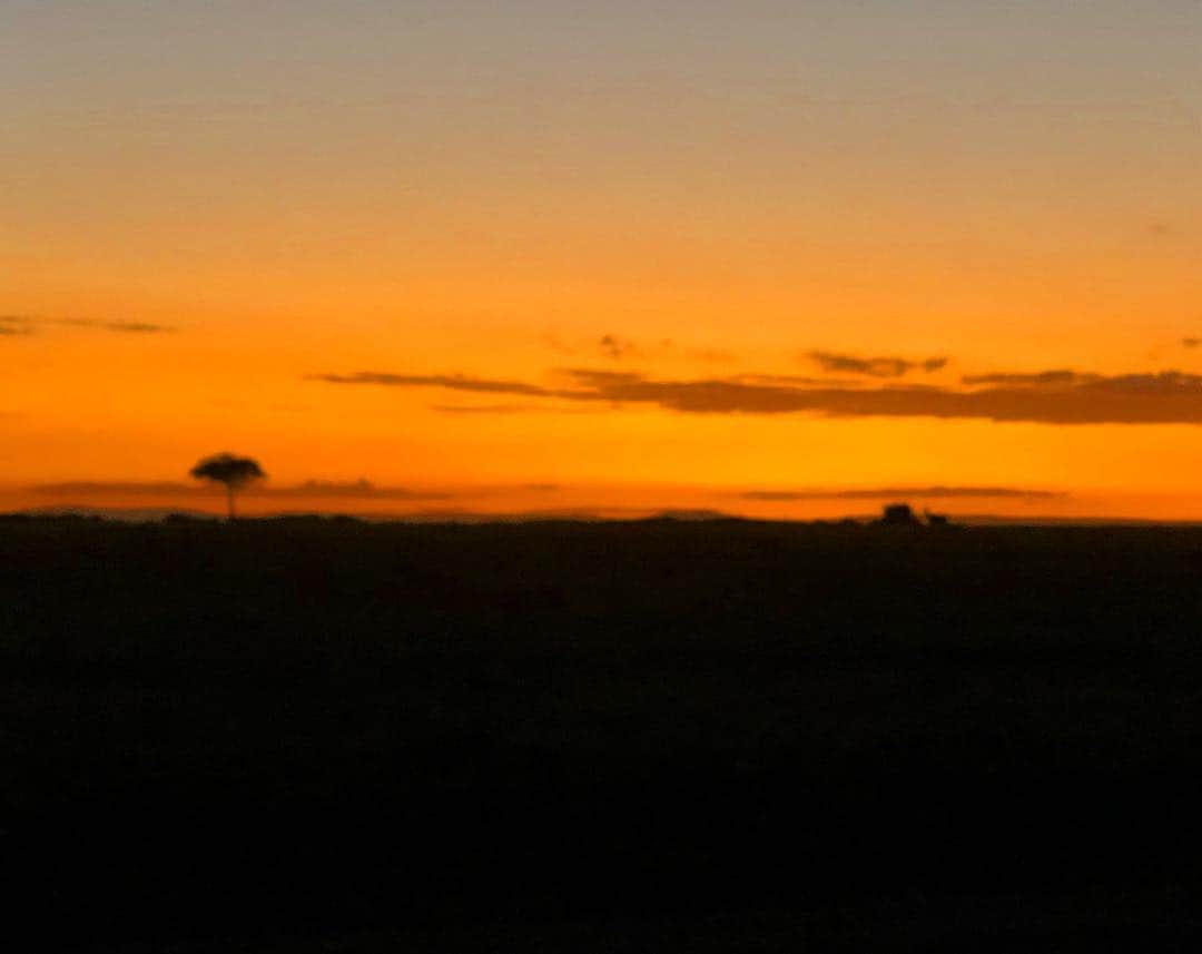 マキ・コニクソンさんのインスタグラム写真 - (マキ・コニクソンInstagram)「サバンナの朝焼け これから気球に乗って来まぁす！🤗 #旅のおすそ分け🤙🏼 #masai maraのおすそ分け🇰🇪」3月20日 19時01分 - makikonikson