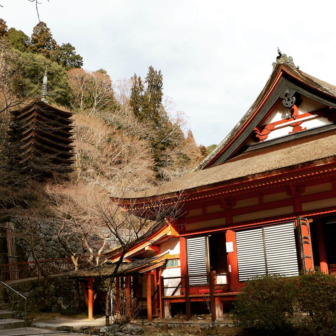 テレビ大阪「おとな旅あるき旅」さんのインスタグラム写真 - (テレビ大阪「おとな旅あるき旅」Instagram)「お酒が似合う３人🍶  今週のおとな旅あるき旅（テレビ大阪）は豪華！伍代夏子さん香西かおりさんと、春の奈良 桜井〜飛鳥の里山さんぽです！  春らしい陽気に誘われ、まさに「おとなの遠足」。奈良が誇る国宝や歴史ある社寺、そして美味しい田舎料理と春の果実に大満足！  3人の自由気ままな楽しい旅、お楽しみに！  3/23(土)18:30〜  #おとな旅あるき旅#テレビ大阪#三田村邦彦#伍代夏子#香西かおり#奈良#桜井#飛鳥#安倍文殊院#談山神社#石舞台古墳#田舎料理#飛鳥鍋#あすかルビー」3月20日 19時00分 - tvo.otonatabi