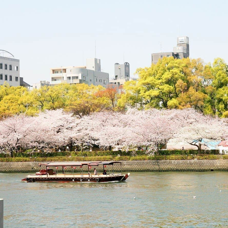 The Ritz-Carlton, Osakaのインスタグラム