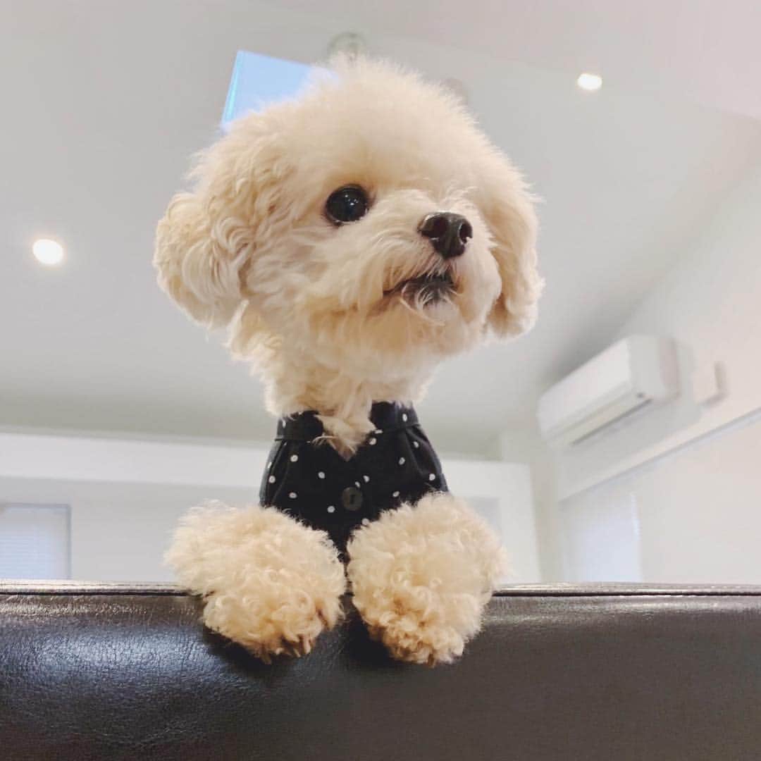 mizuのインスタグラム：「この下からのアングルが…♡」