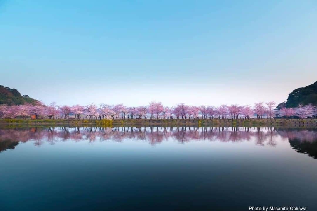 花の写真館のインスタグラム：「Photo by 大川正仁.⠀ https://www.facebook.com/masahito.ookawa⠀ .⠀ Original Post[投稿頂いたURL]⠀ https://www.facebook.com/photo.php?fbid=2106489642798166⠀ .⠀ 本アカウントは、 #私の花の写真 をつけてInstagramに投稿された皆さまの花の写真や、「花の写真館」Facebookページで投稿された花の写真を紹介します。⠀ 「花の写真館」Facebookページは、「 @floral.photograph 」のプロフィールにあるURLからご覧ください。⠀ .⠀ #花の写真館 #floralphotograph #floralphoto #flower #flowers #富士フイルム #FUJIFILM⠀ Follow: @floral.photograph」