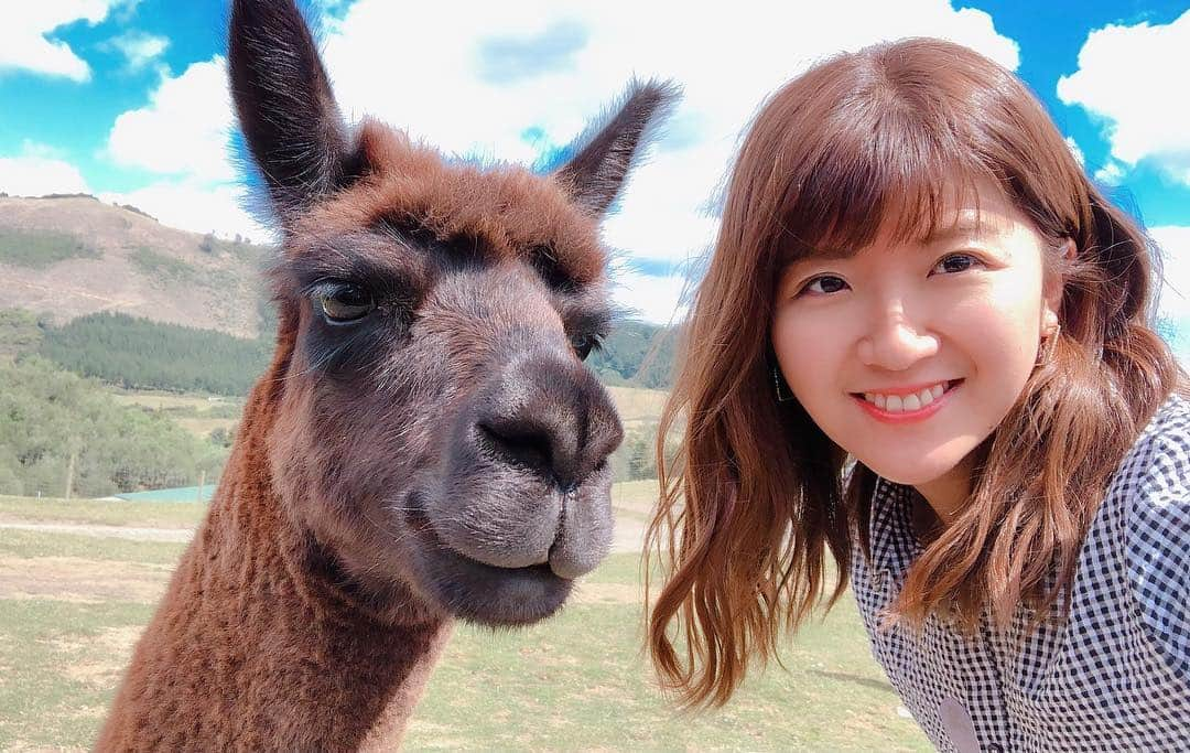 徳永千奈美さんのインスタグラム写真 - (徳永千奈美Instagram)「My friend🤗💗 llama?  alpaca？ 🦙🦙🦙🦙🦙 #smile  #happy  #mylife  #ものすごく #眠たい」3月20日 20時01分 - chinami.tokunaga