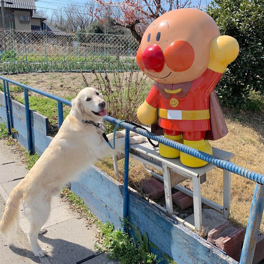 P太郎ママのインスタグラム