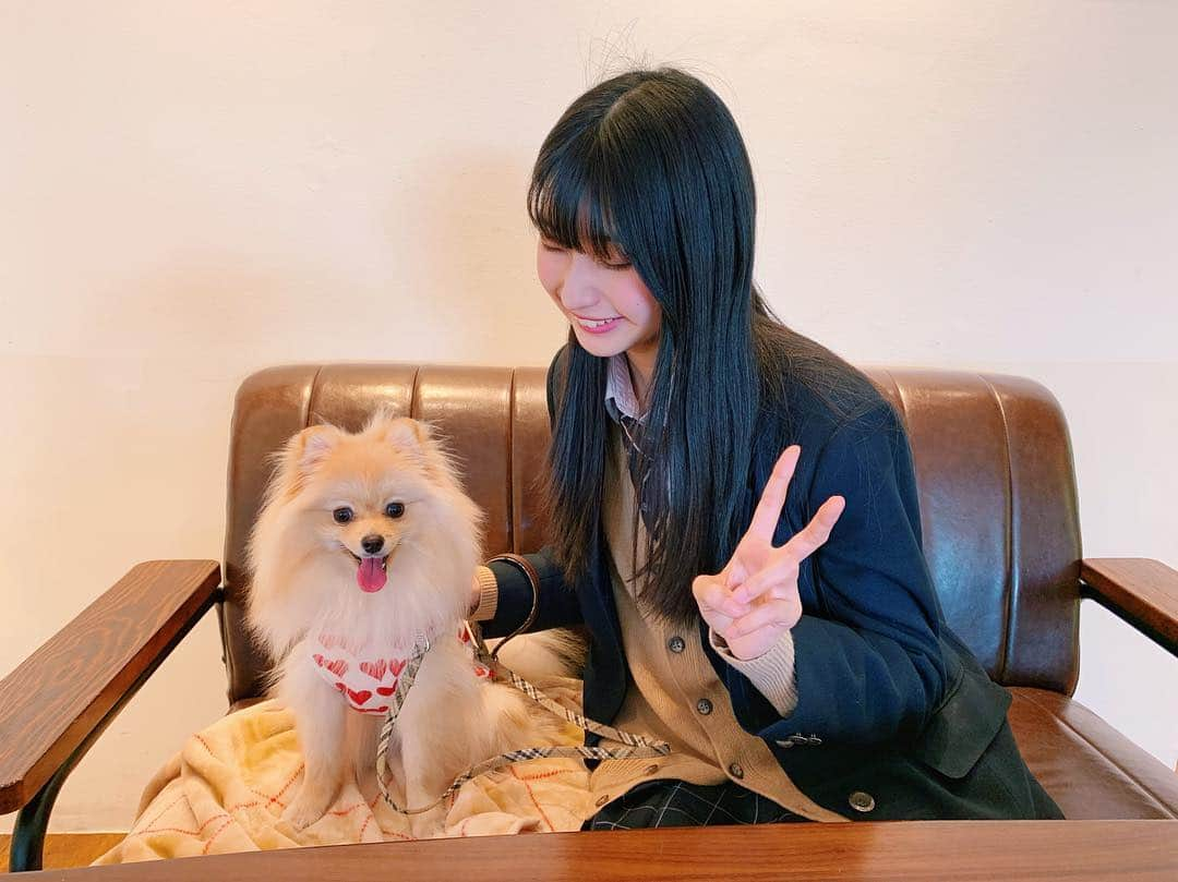 本島莉々果さんのインスタグラム写真 - (本島莉々果Instagram)「🐶🎉 ⋆⑅ ⋆⑅ ⋆⑅ 🎉Happy 1st Birthday to Minty🐶🎉 ⋆⑅ ⋆⑅ #HappyBirthday #HBD #お誕生日おめでとう #1歳 #1st #ミンティー #Minty #犬 #ポメラニアン #🐶」3月20日 20時18分 - motoshimaririka