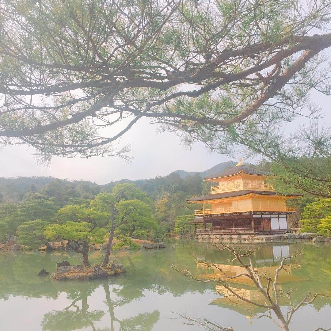 坂東亀三郎さんのインスタグラム写真 - (坂東亀三郎Instagram)「ベタに、 金閣寺。 訪日観光客の多さ。  帰りに上賀茂神社近くから川沿いを歩いたら櫻が。  2枚目と3枚目、どちらがお好み？  #御朱印 #御朱印帳 #金閣寺 #彦印帳 #歌舞伎 #音羽屋 #歌舞伎役者 #彦三郎 #坂東彦三郎 #九代目 #歌舞伎部 #otowayabando #彦さんぽ コメントはお気軽に📝」3月20日 20時55分 - otowayabando