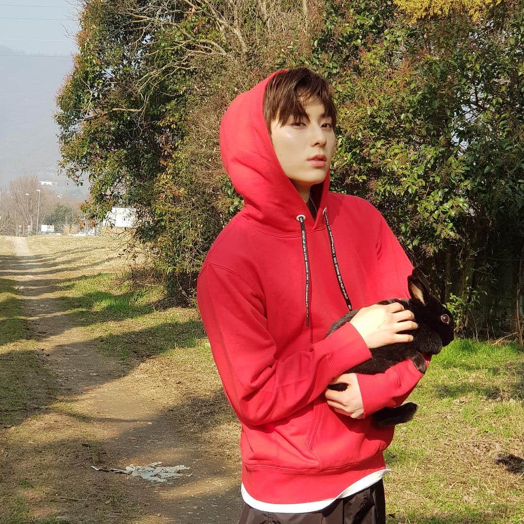 ミンヒョン さんのインスタグラム写真 - (ミンヒョン Instagram)3月20日 21時11分 - optimushwang
