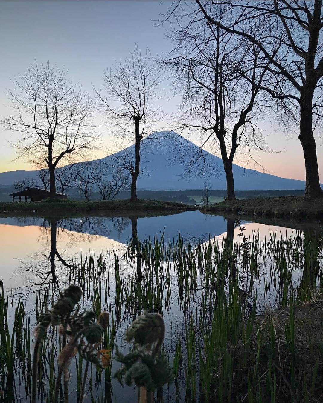 Koichiのインスタグラム：「. . Calm morning . . . #BeautifulJapan #🗻 #富士山 #MtFuji #ShotOniPhone .」