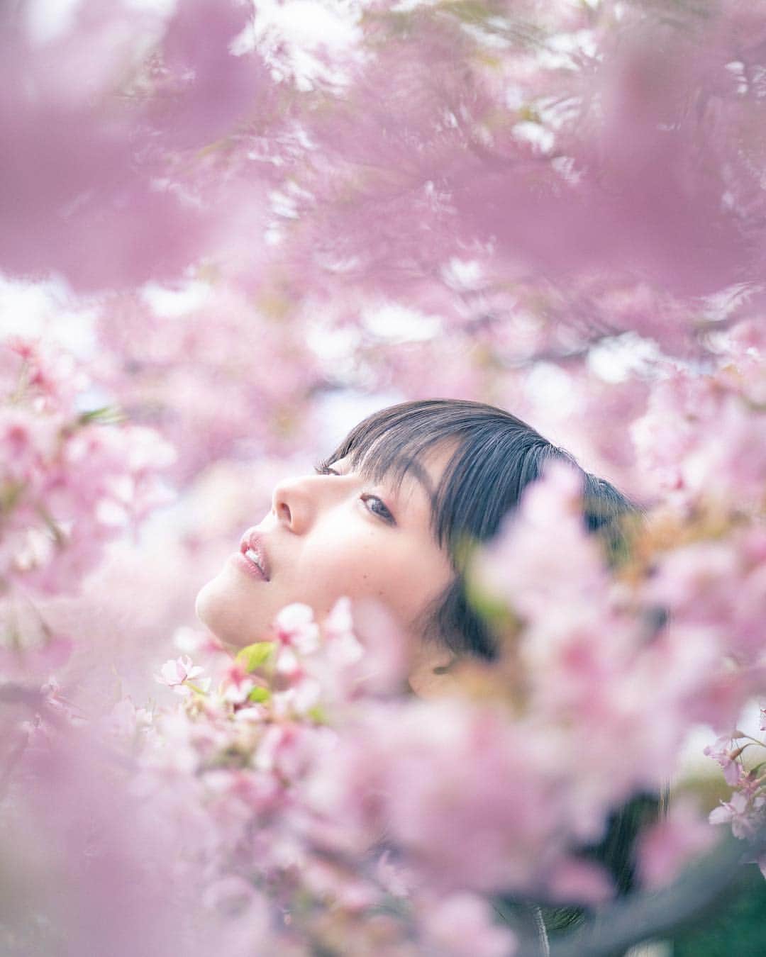 haru wagnusさんのインスタグラム写真 - (haru wagnusInstagram)「Bloom and born vividly 🌸 ㅤㅤㅤㅤㅤㅤㅤㅤㅤㅤㅤㅤㅤ ㅤㅤㅤㅤㅤㅤㅤㅤㅤㅤㅤㅤㅤ #HasselbladX1D ㅤㅤㅤㅤㅤㅤㅤㅤㅤㅤㅤㅤㅤ #wagnus_color_preset」3月20日 21時17分 - wagnus
