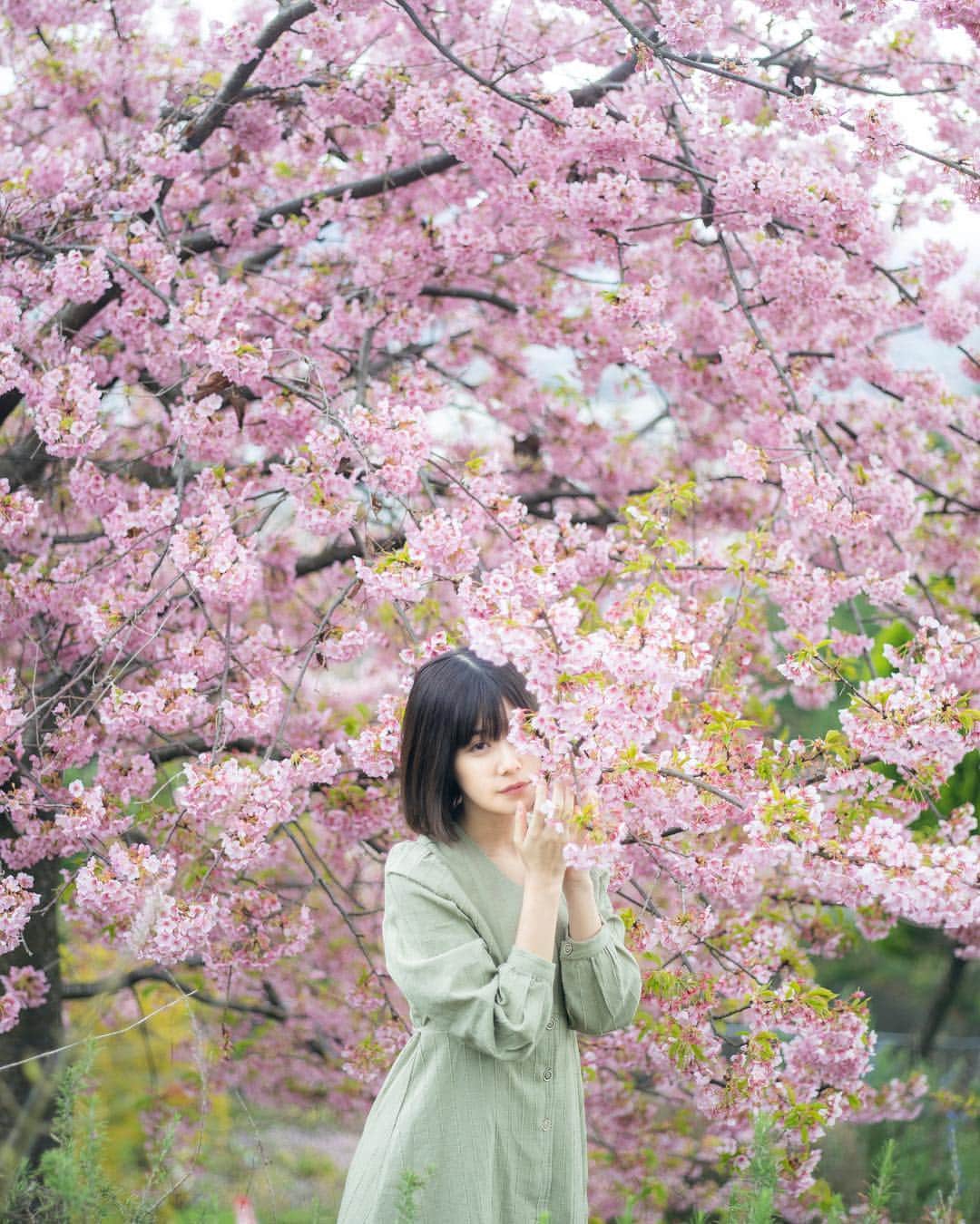 haru wagnusさんのインスタグラム写真 - (haru wagnusInstagram)「Bloom and born vividly 🌸 ㅤㅤㅤㅤㅤㅤㅤㅤㅤㅤㅤㅤㅤ ㅤㅤㅤㅤㅤㅤㅤㅤㅤㅤㅤㅤㅤ #HasselbladX1D ㅤㅤㅤㅤㅤㅤㅤㅤㅤㅤㅤㅤㅤ #wagnus_color_preset」3月20日 21時17分 - wagnus