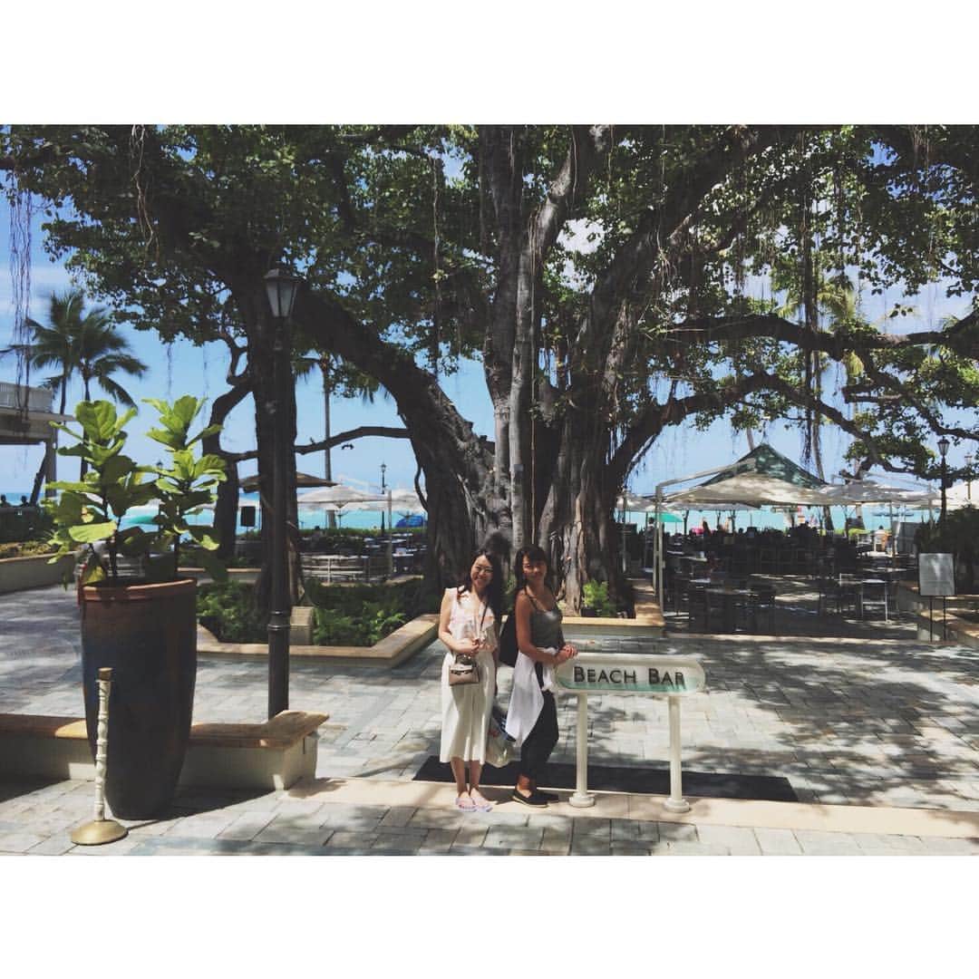 中津悠希さんのインスタグラム写真 - (中津悠希Instagram)「Moana Surfrider🏝🏝💕 #hawaii #ハワイ #family #trip #moanasurfrider」3月20日 21時56分 - yukinakatsu