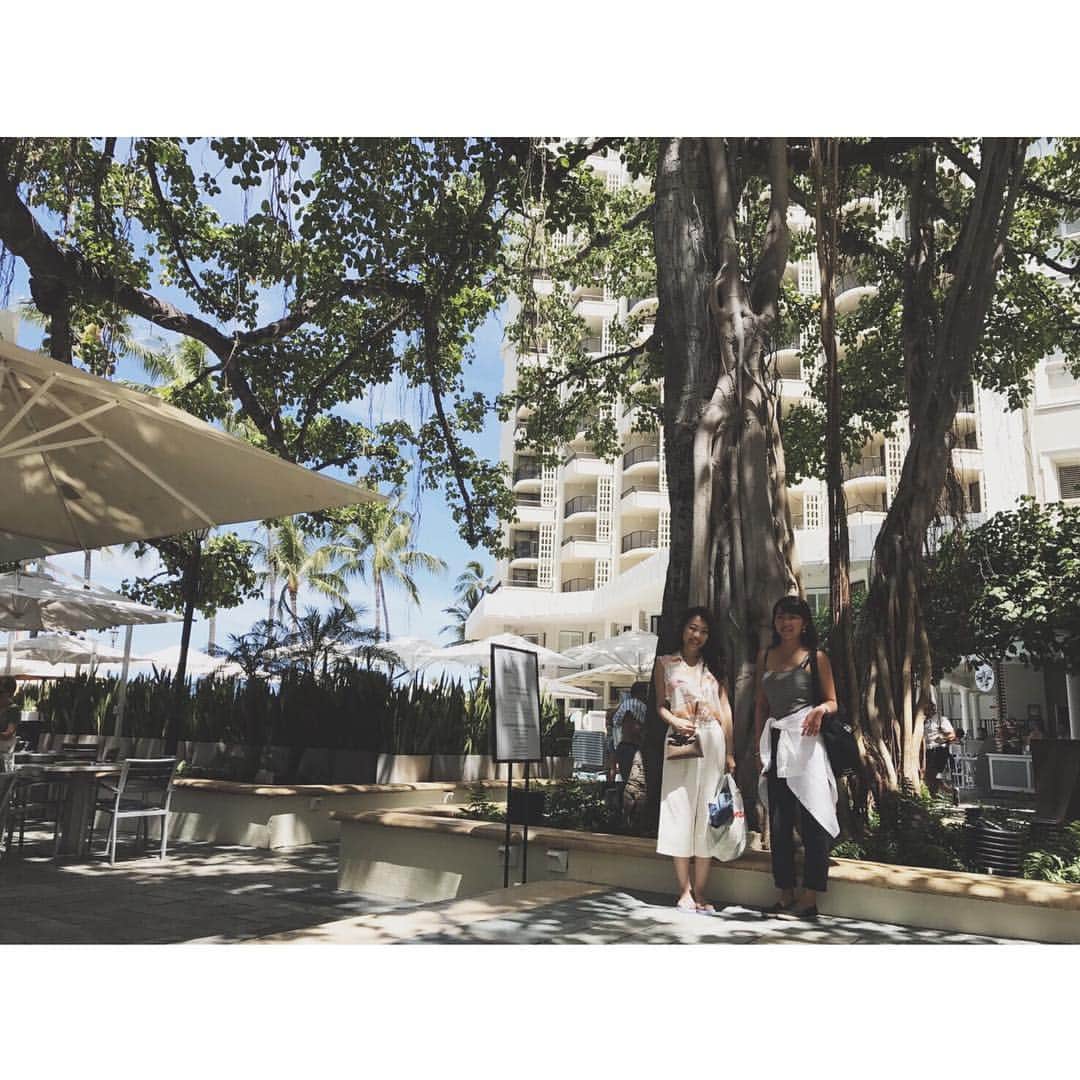 中津悠希さんのインスタグラム写真 - (中津悠希Instagram)「Moana Surfrider🏝🏝💕 #hawaii #ハワイ #family #trip #moanasurfrider」3月20日 21時56分 - yukinakatsu