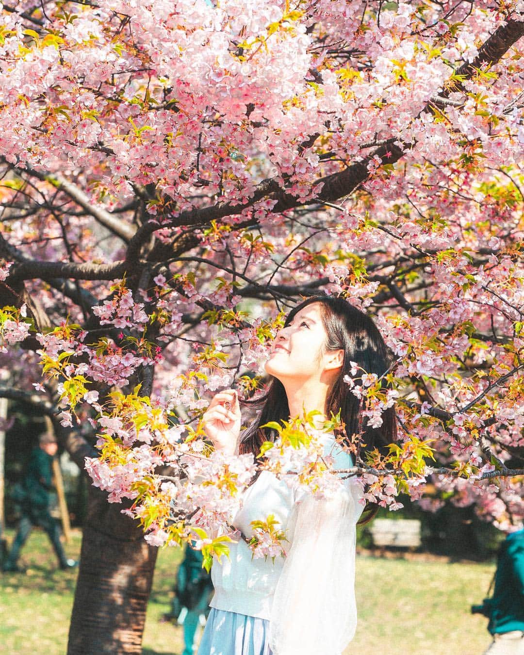 真原彩さんのインスタグラム写真 - (真原彩Instagram)「・ ・ 桜ポートレート🌸 ・ 今日は本当に暖かかったですね☺️ ・ この河津桜見に行ったら もう結構緑になってた🌿 ・ ・ ・ ・ ・ ・ 📸@m.sue___ ・ ・ ・ ・ ・」3月20日 21時56分 - sanahara_aya