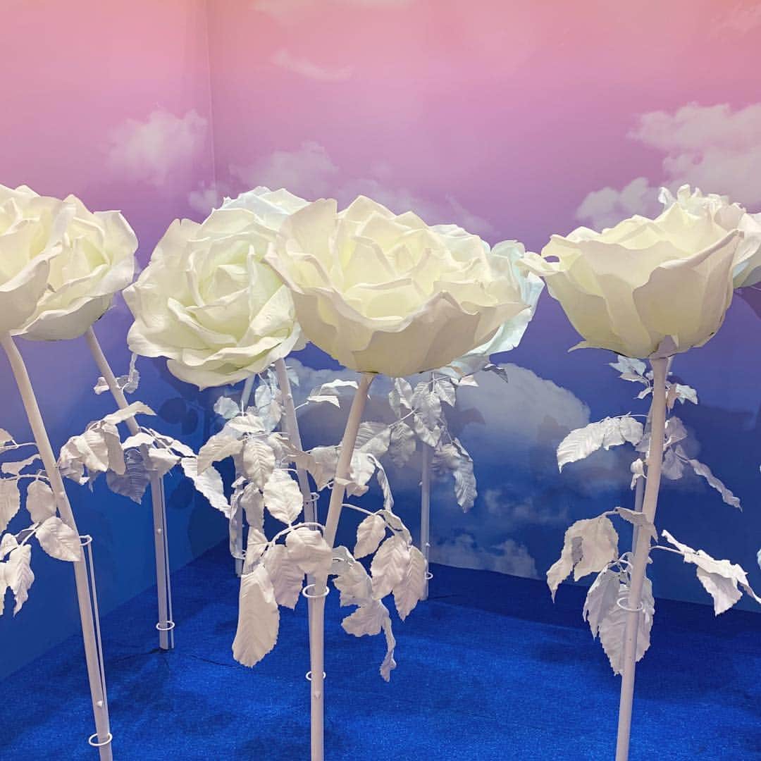 VINYL MUSEUM (ビニール ミュージアム) のインスタグラム：「* お花畑に迷い込んでメルヘンな1枚が撮影できちゃいます🌷 こちらは名古屋限定のブース。 ラブリーにも、大人の雰囲気でも撮影できるブースになっています。 ・ ・ ・ ⚜️開催情報⚜️ ▪︎名古屋 2019年3月9日(土)〜28日(木) ららぽーと名古屋みなとアクルス1Ｆ センターコート ▪︎大阪 2019年3月16日(土)〜4月7日(日) 毎日放送本社ビル1Ｆ ちゃやまちプラザ ・ ・ ・ #vinylmuseum #ビニールミュージアム #インフルエンサー #名古屋 #大阪 #インスタ映えスポット #花 #春 #花見 #フォトジェニック #おでかけスポット  #ちゃやまちプラザ #ららぽーと名古屋みなとアクルス #ららぽーと #museum #photospot #photostudio #instagrammer #instagram #nagoya #osaka #shoppingmall #mbs #japan #rose」