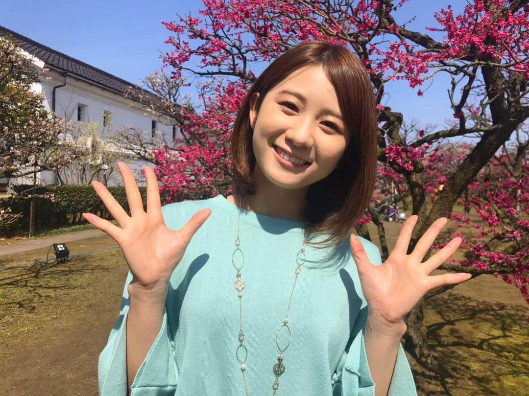 尾島早都樹さんのインスタグラム写真 - (尾島早都樹Instagram)「きょうの県内は 気温が20度とポカポカ陽気！ #内山邸 の#梅園 を取材してきました！ . 平日にも関わらず来場者数は 500人以上だったんだとか！ . 梅の甘い香りがして、 春を感じられるステキな場所でした☺️💓 . 今年はたくさんお花見に行きたい🌸🍡 . #チューリップテレビ #N６ #お天気ニュース #梅」3月20日 21時58分 - ojima_satsuki