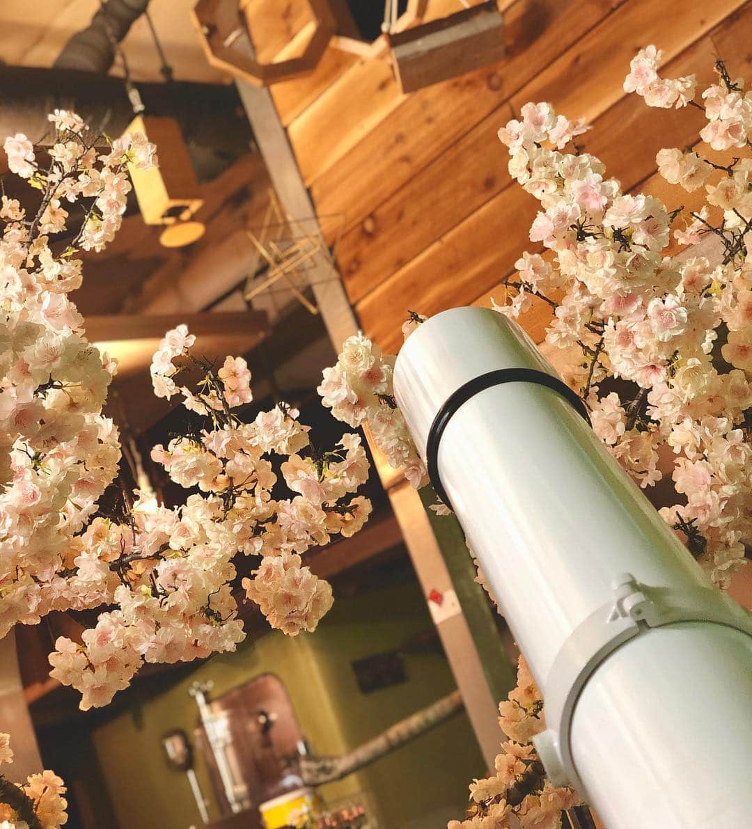 AMAZING COFFEEさんのインスタグラム写真 - (AMAZING COFFEEInstagram)「. 「4月の君、スピカ。」×「AMAZING COFFEE」 COLLABORATION START(^o^)v . その星の名前を知るとき恋が輝き出す☀️⭐️🌙 . #君スピ #AMAZINGCOFFEE #TOKYONAKAMEGURO #YOKOHAMABAY #OSAKASOUTHSIDE #YOKOSUKABEACHSIDE #TOKYOHANEDAAIRPORT #AMeCO #アメコ #coffee @kimispi_movie」3月21日 8時01分 - amazing_coffee_official