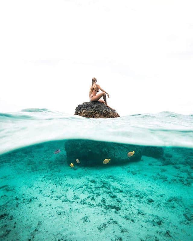 ハワイアン航空さんのインスタグラム写真 - (ハワイアン航空Instagram)「「自然をたたえ、生物をいつくしむ」日と定められた#春分の日 🌴🌳🌱🌺🐢🐋🐬🐟 今日はちょっと立ち止まって周りの自然や身近な動物に感謝してみませんか？ Photo by @threeifbysea」3月21日 8時30分 - hawaiianairlinesjp