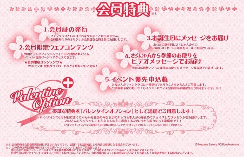 野川さくらのインスタグラム