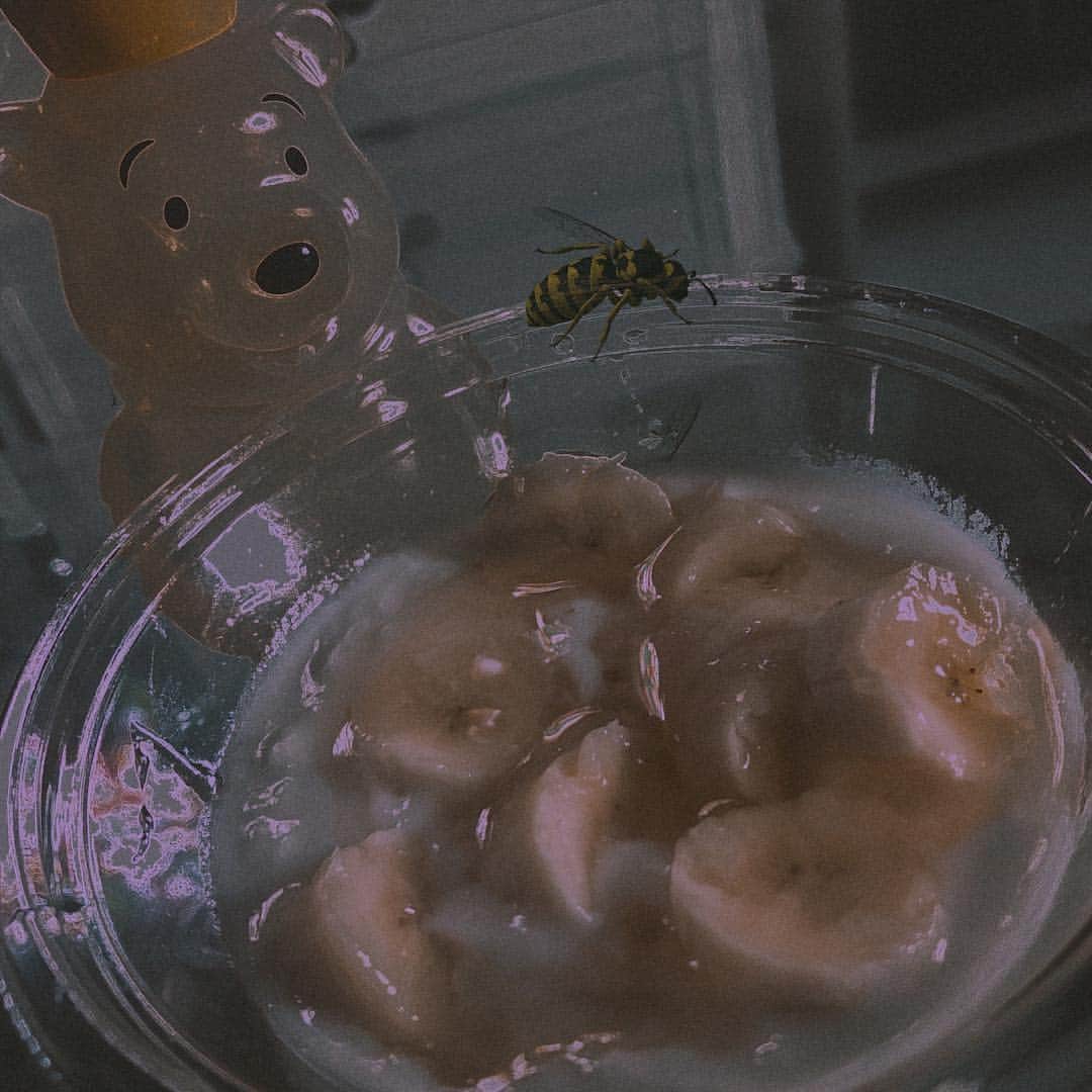 chiiiiiのインスタグラム：「🐝🧸gm🍯🥄」