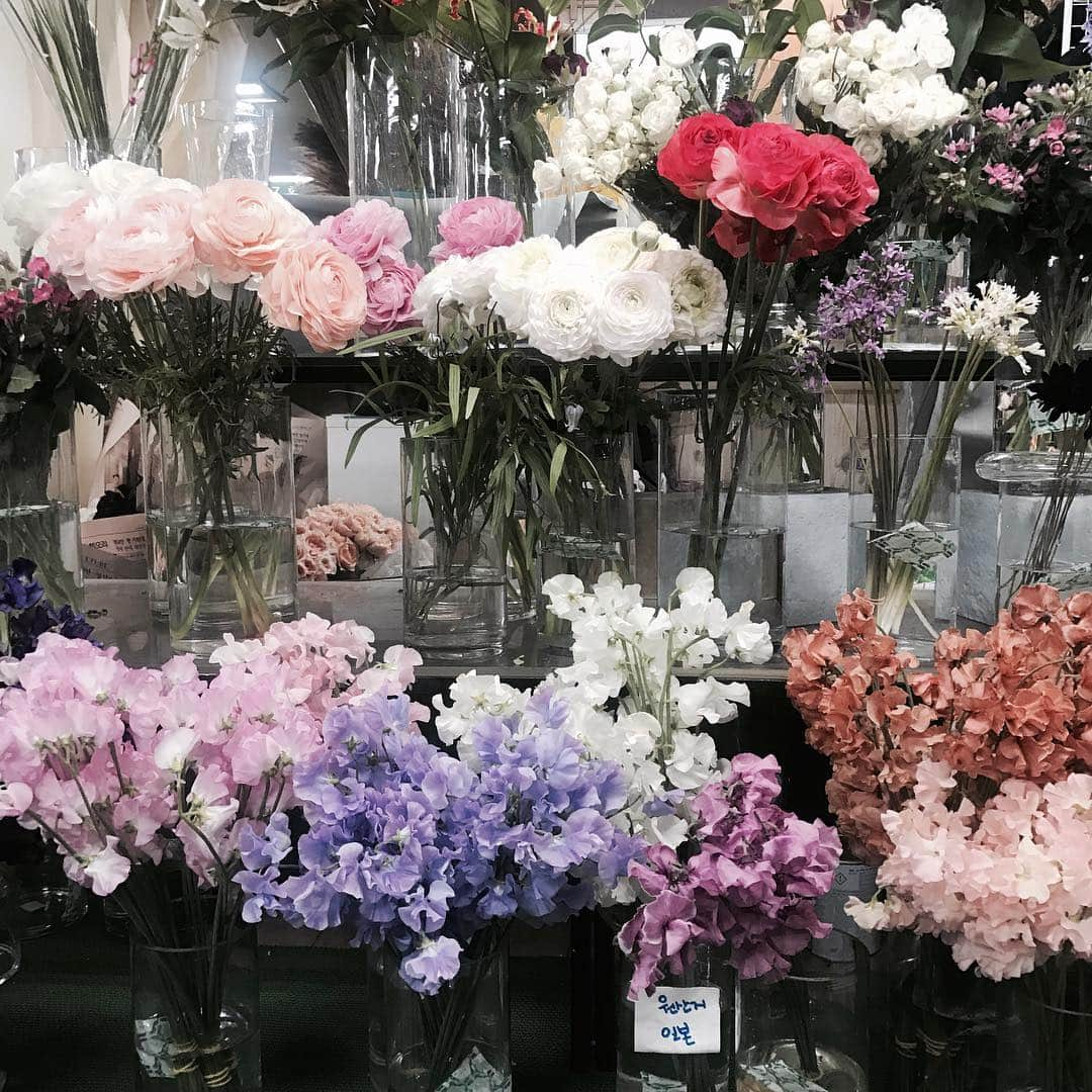 Florist.janeさんのインスタグラム写真 - (Florist.janeInstagram)「오늘도 이곳은 ..💕 #선그로원예 . . . . . . #꽃시장 #블루밍스완 #꽃집 #꽃스타그램 #꽃 #일상 #데일리 #강남꽃집 #학동역꽃집 #논현동꽃집 #꽃집창업 #플라워레슨 #시장투어 #플라워클래스 #경부선꽃시장 #flowers #florist #daily」3月21日 8時54分 - jane.florist