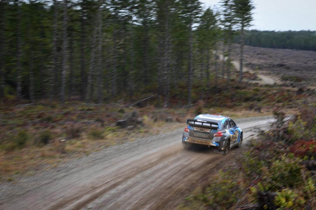 Subaru Rally Team USAさんのインスタグラム写真 - (Subaru Rally Team USAInstagram)「@OlympusRally you are next! Plan your trip now. ✈️ 37 days to go! #SubaruMotorsportsUSA #ARARally」3月21日 0時43分 - subarumotorsportsusa