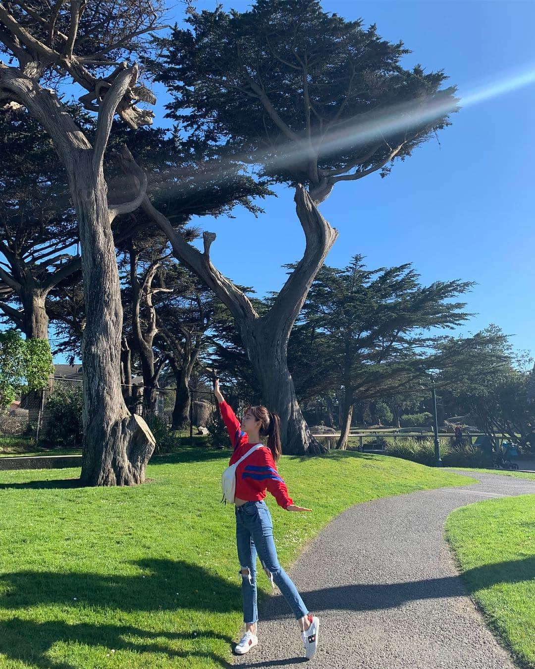 チェ・スルギさんのインスタグラム写真 - (チェ・スルギInstagram)「. San francisco🇺🇸 . . - San francisco zoo . 호랑이 🐯짱멋있어  파란하늘 너무 좋다 +_+💕」3月21日 0時44分 - angel9028