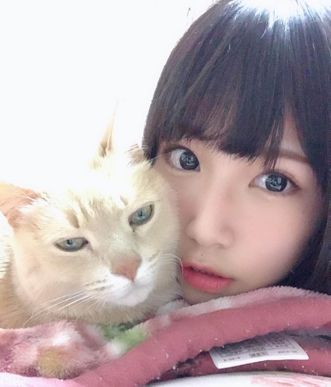 村上りいなさんのインスタグラム写真 - (村上りいなInstagram)「My little family.💓 #cat #family #instagood #love #cute #好」3月21日 0時53分 - riina_murakami
