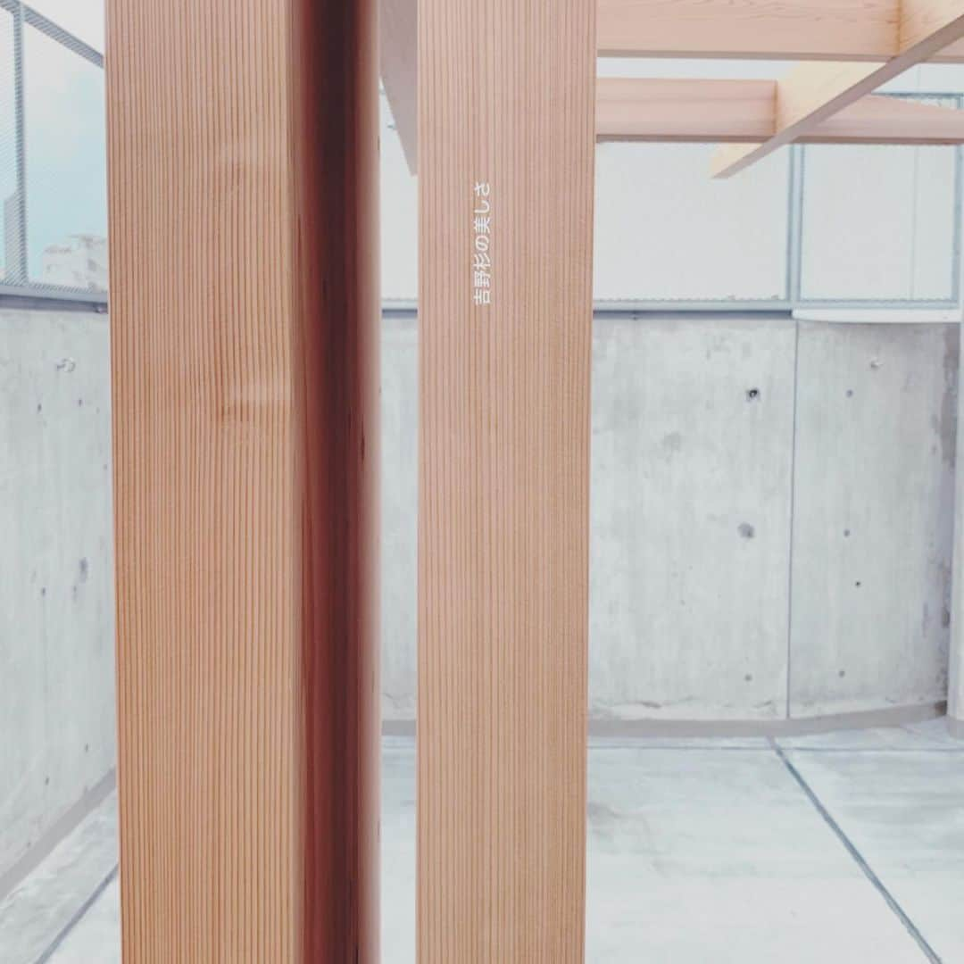 山本真由美さんのインスタグラム写真 - (山本真由美Instagram)「. RCR arquitectes🇪🇸 . at ギャラリー間 . . 吉野杉の美しさ。山を守る人。 いつか吉野の桜を見たいんだ。 🌸🌸 . #建築 #architecture #toto #ギャラリー間 #ギャラ間  #gallery #japan #tokyo  #吉野杉 #yoshino #tree  #beautiful #nature #sakura  #rcrarquitectes #spain #roppongi #木目 #design #detail #昆布 じゃないよ (´˙꒳˙`) #木」3月21日 1時07分 - mayumi_yamamoto.official