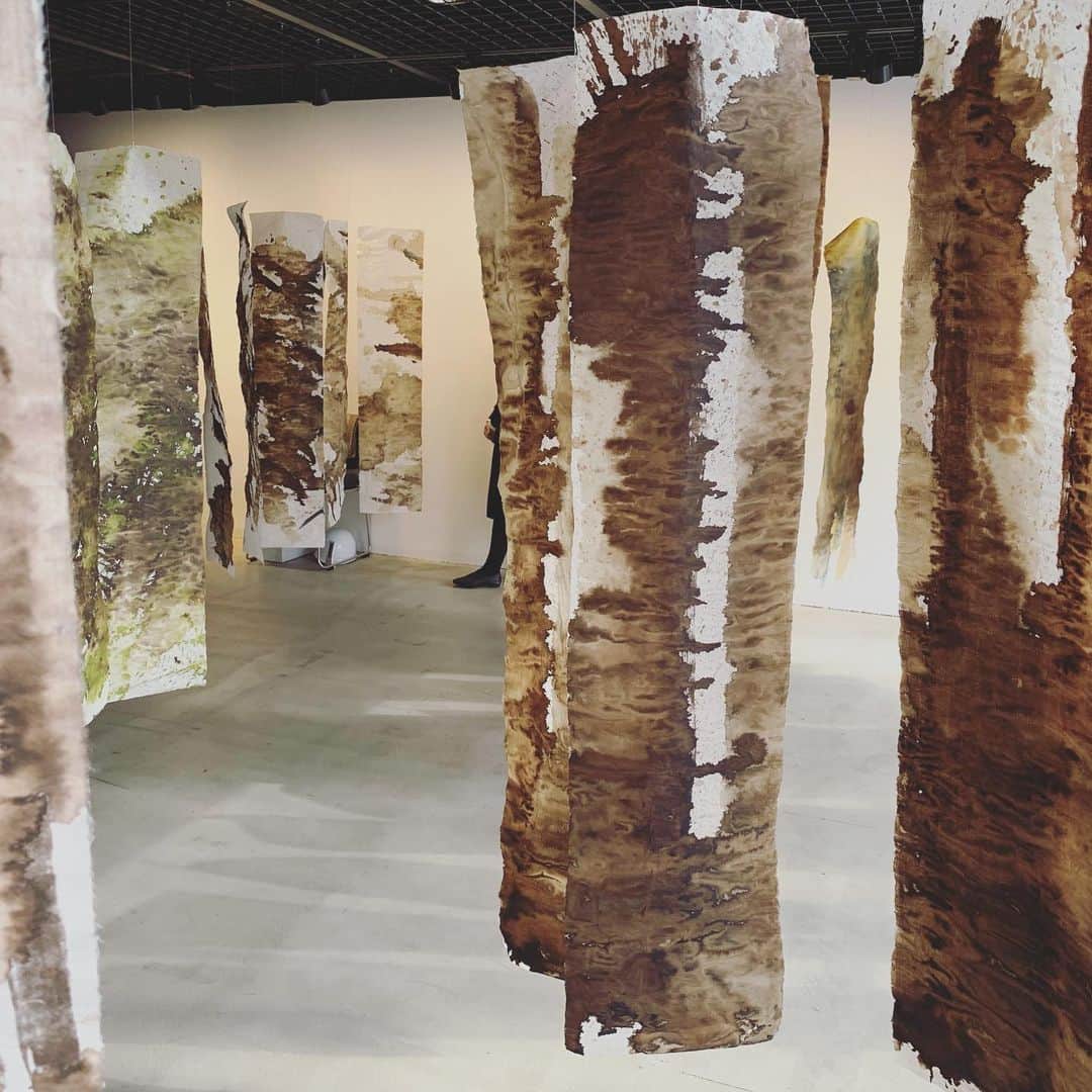 山本真由美さんのインスタグラム写真 - (山本真由美Instagram)「. RCR arquitectes🇪🇸 . at ギャラリー間 . . 吉野杉の美しさ。山を守る人。 いつか吉野の桜を見たいんだ。 🌸🌸 . #建築 #architecture #toto #ギャラリー間 #ギャラ間  #gallery #japan #tokyo  #吉野杉 #yoshino #tree  #beautiful #nature #sakura  #rcrarquitectes #spain #roppongi #木目 #design #detail #昆布 じゃないよ (´˙꒳˙`) #木」3月21日 1時07分 - mayumi_yamamoto.official