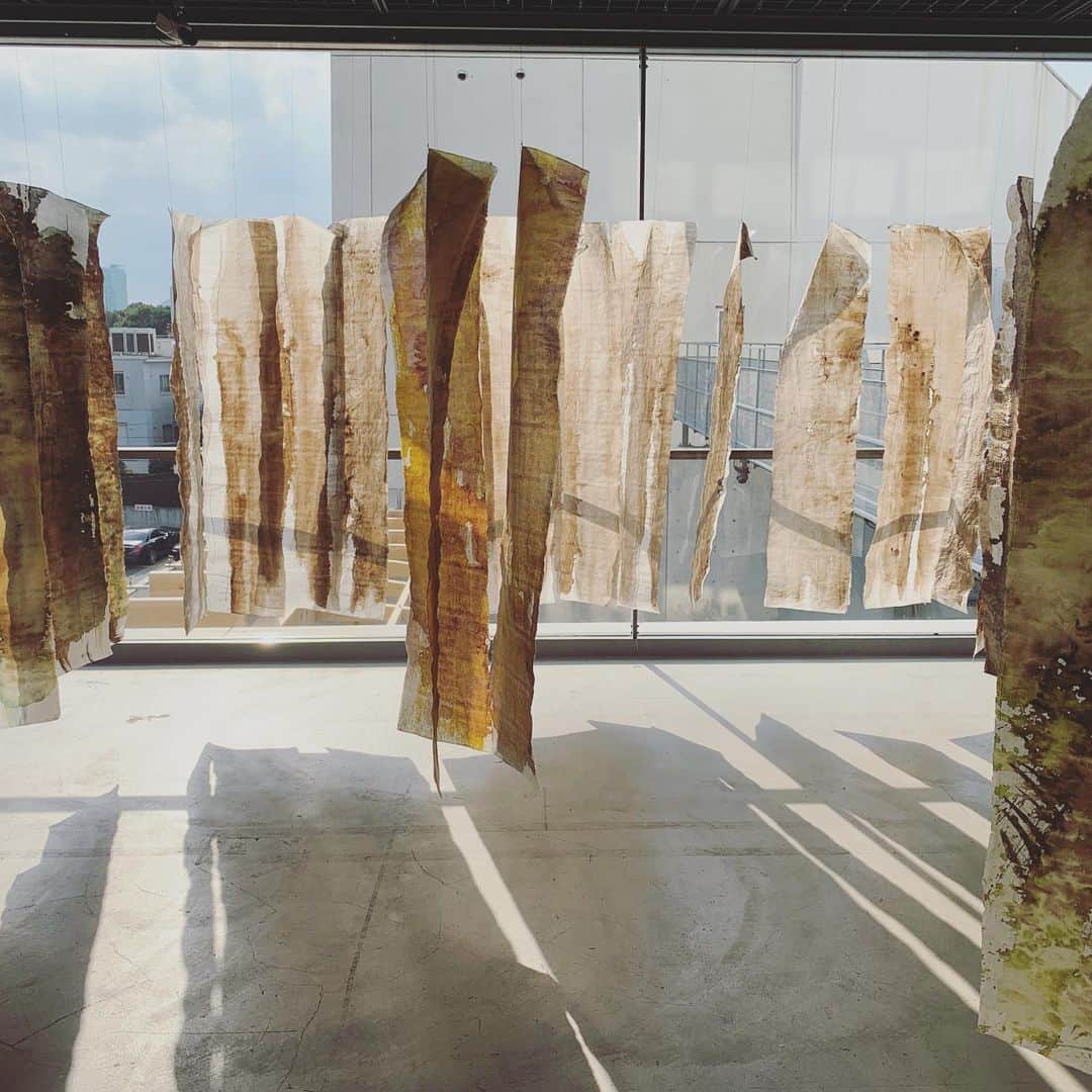 山本真由美さんのインスタグラム写真 - (山本真由美Instagram)「. RCR arquitectes🇪🇸 . at ギャラリー間 . . 吉野杉の美しさ。山を守る人。 いつか吉野の桜を見たいんだ。 🌸🌸 . #建築 #architecture #toto #ギャラリー間 #ギャラ間  #gallery #japan #tokyo  #吉野杉 #yoshino #tree  #beautiful #nature #sakura  #rcrarquitectes #spain #roppongi #木目 #design #detail #昆布 じゃないよ (´˙꒳˙`) #木」3月21日 1時07分 - mayumi_yamamoto.official