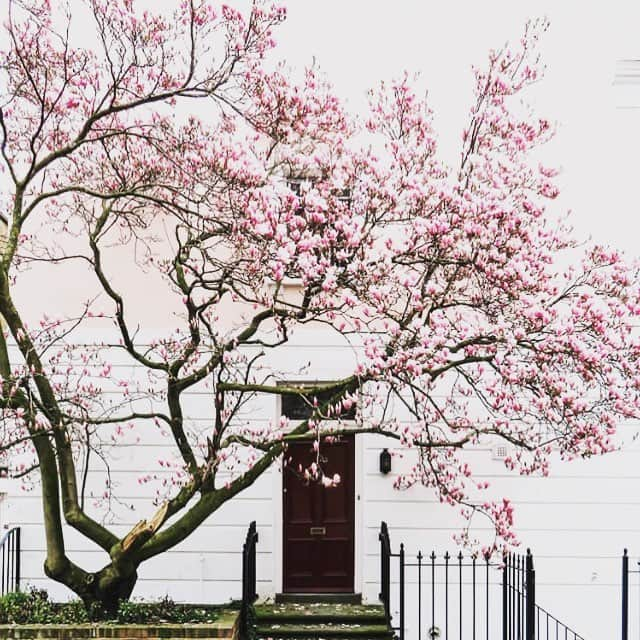 エマニュエル・ベアールさんのインスタグラム写真 - (エマニュエル・ベアールInstagram)「#happyfirstdayofspring 🌸  #springtime🌸」3月21日 1時08分 - emmanuellebeart