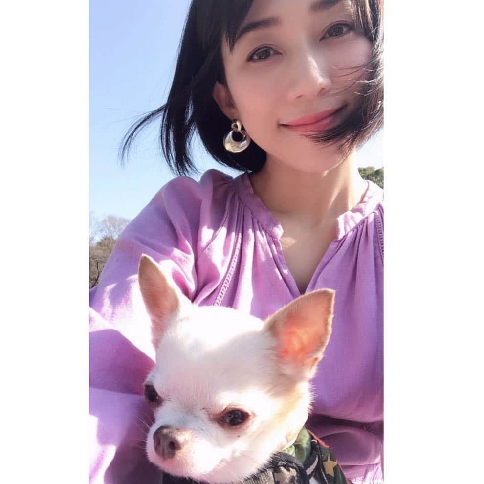 川田希さんのインスタグラム写真 - (川田希Instagram)「天気が良かったので、ラテさんと代々木公園へ行ってきましたー🐶  #dog #dogsofinstagram #dogstagram #park #散歩 #春」3月21日 1時22分 - nozomikawata