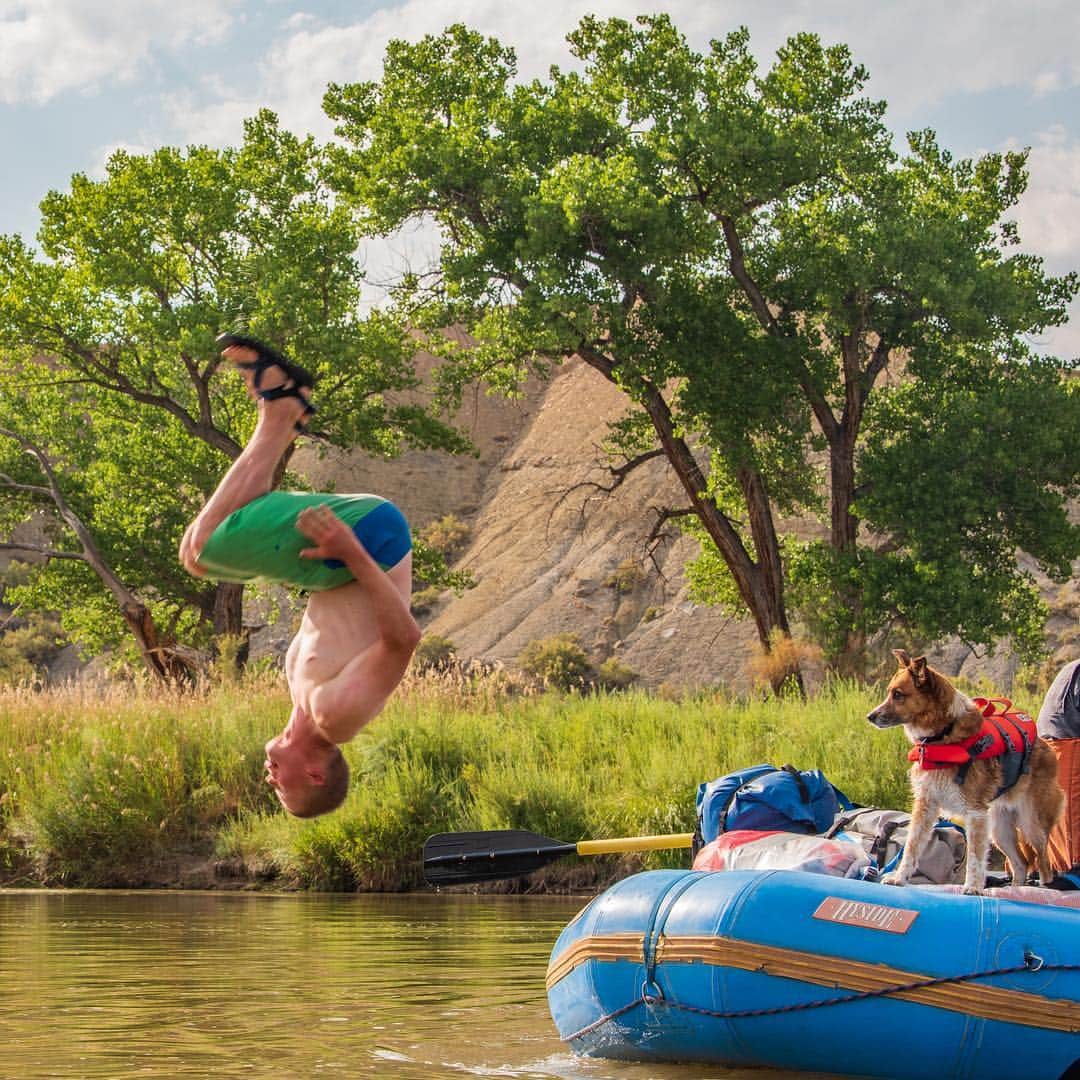 のインスタグラム：「Head first into the first day of spring! ☀️#thedogsfacetho #springbreak #builtforplay #riverrats #keltybuilt #donttrythisathome 📷 @bigbenbenbenbenben @campingwithdogs」
