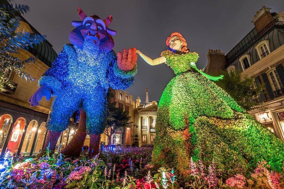 美女と野獣さんのインスタグラム写真 - (美女と野獣Instagram)「Springtime is timeless. 🌷🌼✨ Bonjour to a new season! #FirstDayofSpring {📸: @thedisneyman}」3月21日 1時39分 - beautyandthebeast