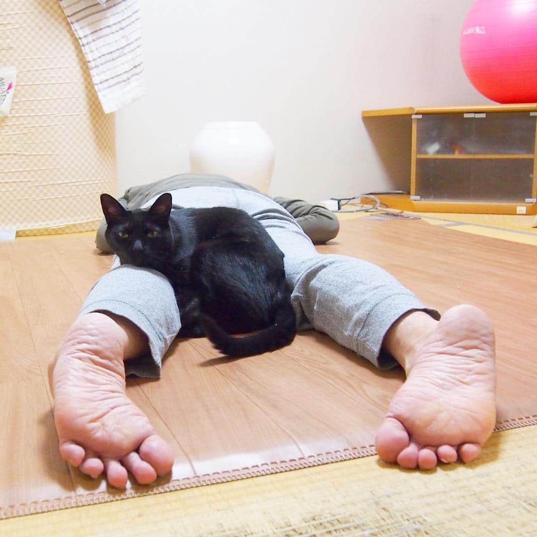 nemuru_catさんのインスタグラム写真 - (nemuru_catInstagram)「#ベム#眠る夫  くっついて寝ようよ💗 おやすみにゃさ〜い💤💤 * #ねこ部#cat#cats#neko#猫#catsofinstagram#bestmeow#catlover#instagramjapan#ふわもこ部#黒猫」3月21日 1時41分 - nemuru_cat