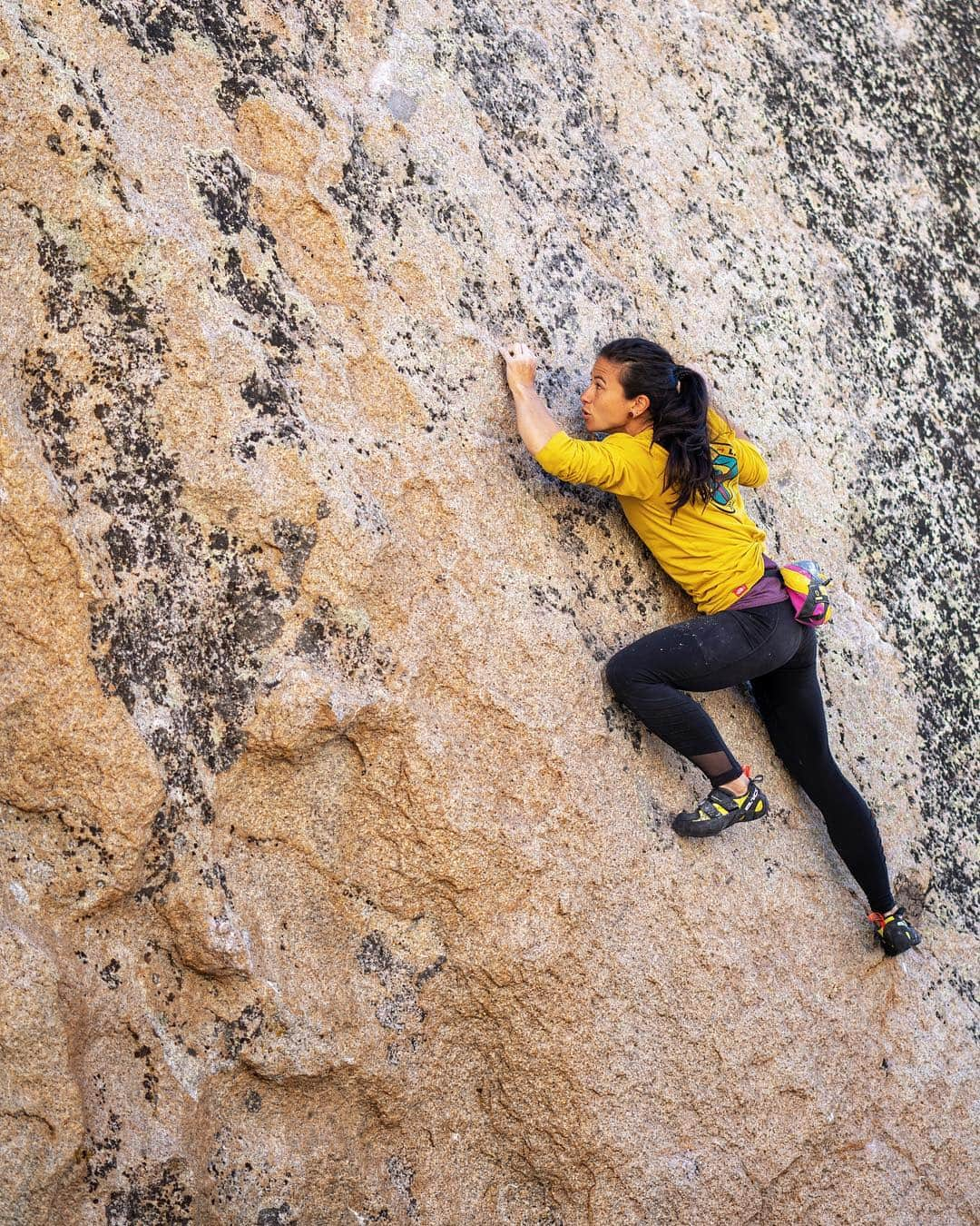 ニーナ・ウィリアムズさんのインスタグラム写真 - (ニーナ・ウィリアムズInstagram)「In 2012, @alexhonnold did the first ascent of a 50ft boulder in the Beehive area of the Buttermilks. @lonniekkauk did the second ascent in 2013 followed by @ethan_pringle and @_steven_roth in 2014, @fabi_buhl in 2017, and @rockninja_8a in 2018. Two days ago, on March 18th 2019, I climbed the lucky 7th ascent of Too Big To Flail (V10/5.13d). . I’m still processing the experience and will share a more complete story later. For now I am simply, joyously grateful. . @james_lucas, @oceangoingmonkey, and @simoore: you guys hiked out SO many pads and helped maintain the serene atmosphere I wanted for this climb. It wouldn’t have come together without your help. . To the Bishop locals who donated pads: @andyliu84, @hostelcaliforniabishop, @katielambert, @benjaminditto, and the Zoo. You guys rock. I thankfully didn’t end up needing them but they sure were nice 😜 . And shoutout to @climberchica for the belay on last years’ trip when all the beta fell into place. It was a highlight of this whole journey. . The endeavor of working and climbing Too Big really does take a village, and I appreciate everyone’s help from the bottom of my heart 💛🧡🖤 Thank you thank you thank you. . 📸 @oceangoingmonkey and @simoore 🙏🏻 #climbing #bouldering ?😂 #highball #payahuunadü #Buttermilks」3月21日 1時47分 - sheneenagins