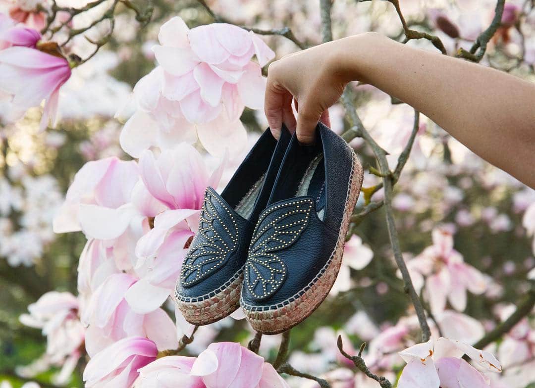 SOPHIA WEBSTERさんのインスタグラム写真 - (SOPHIA WEBSTERInstagram)「‘Bibi’ espadrille... it’s a Spring thing 🌸 Swipe to shop all colours #FirstDayOfSpring #SophiaWebster」3月21日 2時48分 - sophiawebster