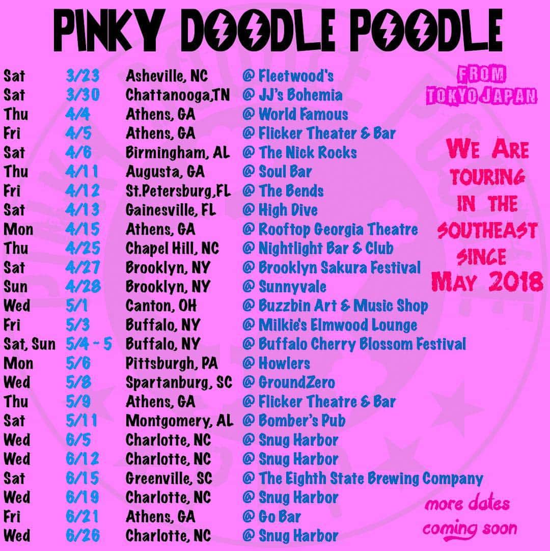 PINKY DOODLE POODLEのインスタグラム
