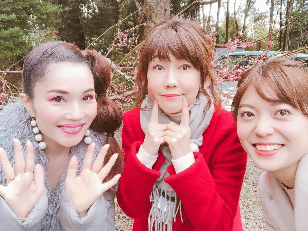 平野ノラさんのインスタグラム写真 - (平野ノラInstagram)「海女さんとイルカと伊代ちゃん🌈🔫 今日の朝はスイッチ観てね📺 🌈🔫3月21日 「スイッチ！」9:50〜東海テレビ  #スイッチ #東海テレビ #平野ノラ #okバブリー」3月21日 3時38分 - noranoranora1988