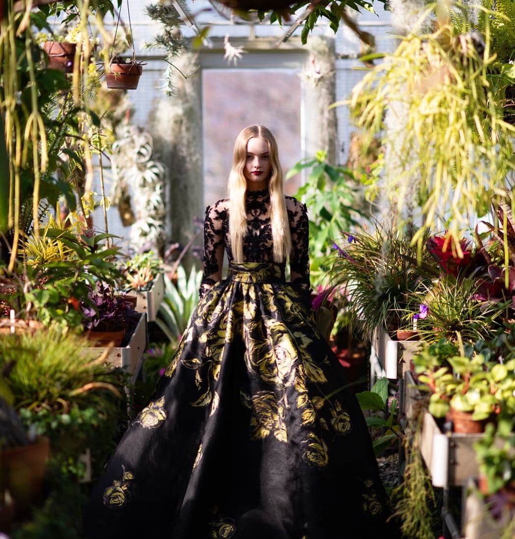のインスタグラム：「Behind the scenes from the Pre-Fall 2019 Marchesa shoot. Shot by @joannatotolici. #marchesa #pf19marchesa」