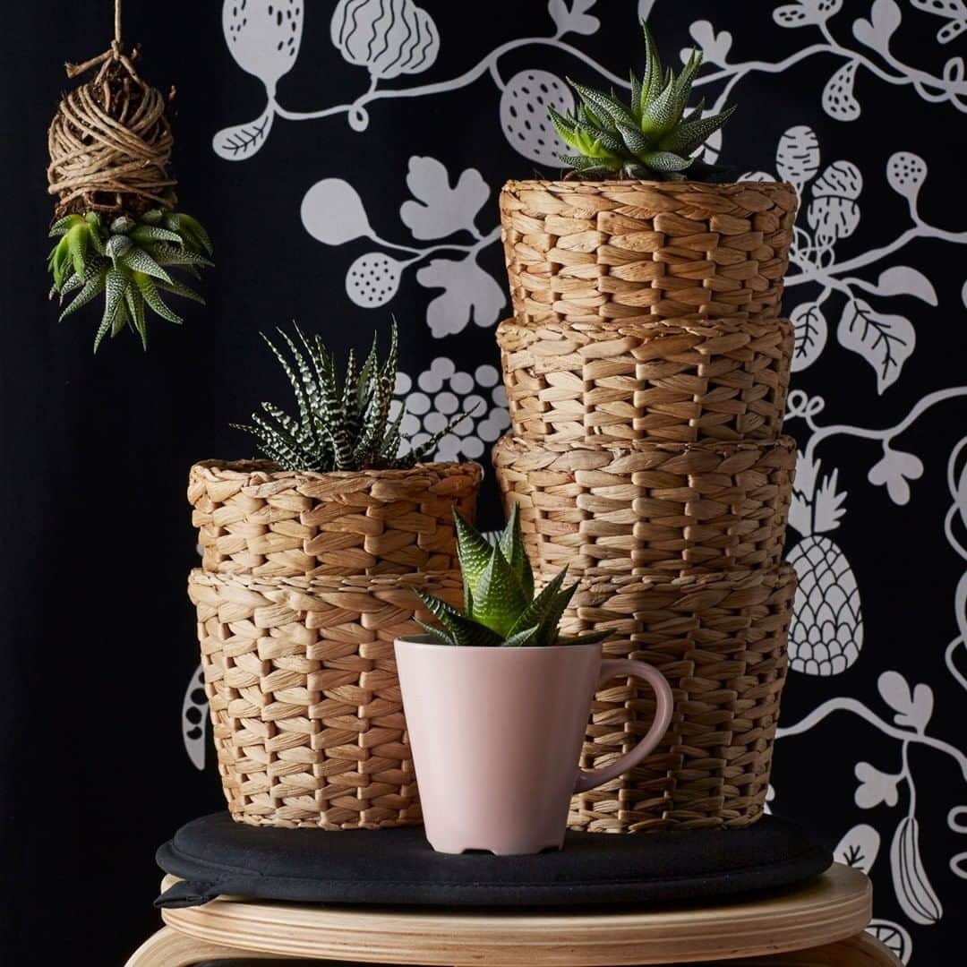IKEA USAさんのインスタグラム写真 - (IKEA USAInstagram)「Spring is here! Celebrate by freshening up your home – inside and out – with flowers, plants and all the exquisite feels of the season.  FRIDFULL Plant pot, $5.99」3月21日 6時00分 - ikeausa