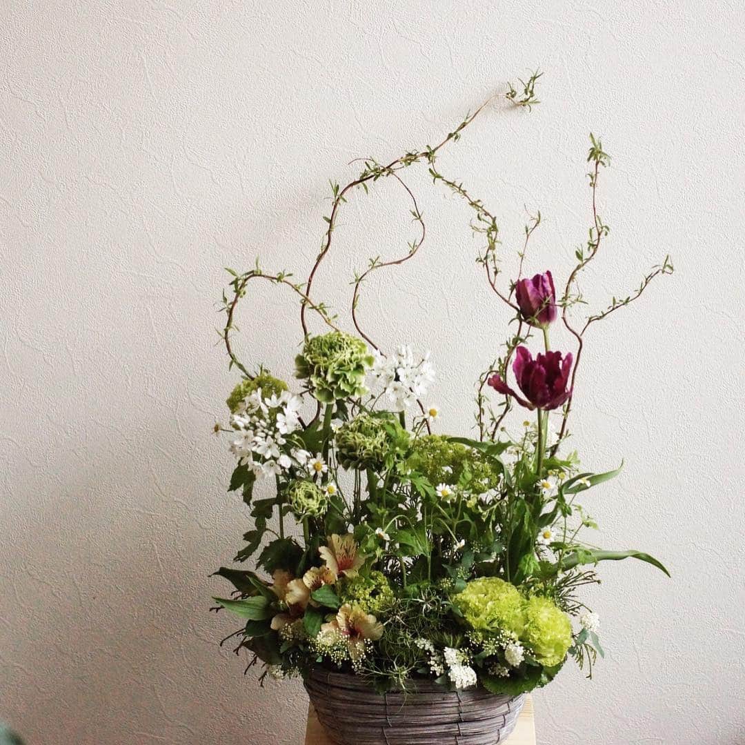 MILLE ECLAT.のグルメインスタ