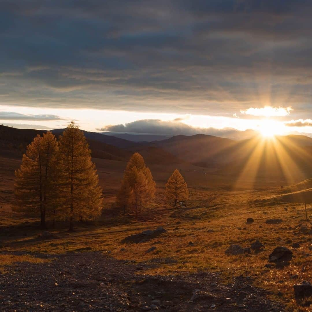 National Geographic Travelさんのインスタグラム写真 - (National Geographic TravelInstagram)「Photo by @hannahreyesmorales | Golden light covers the steppe in Terelj National Park, Mongolia. I don't think I will ever tire of seeing beautiful sunsets. Photographs are the closest I can get to bottling up how the light makes me feel.  #mongolia #sunset #terelj」3月21日 7時03分 - natgeotravel