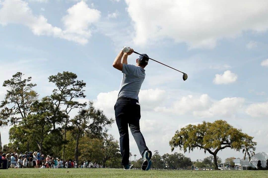 ジャスティン・ローズさんのインスタグラム写真 - (ジャスティン・ローズInstagram)「So #Team🌹 guess the direction on this shot from last week at TPC Sawgrass in Round 2. A - ↖️ B - ⬆️ C - ↗️ D - 🏊🏼‍♂️」3月21日 7時10分 - justinprose99