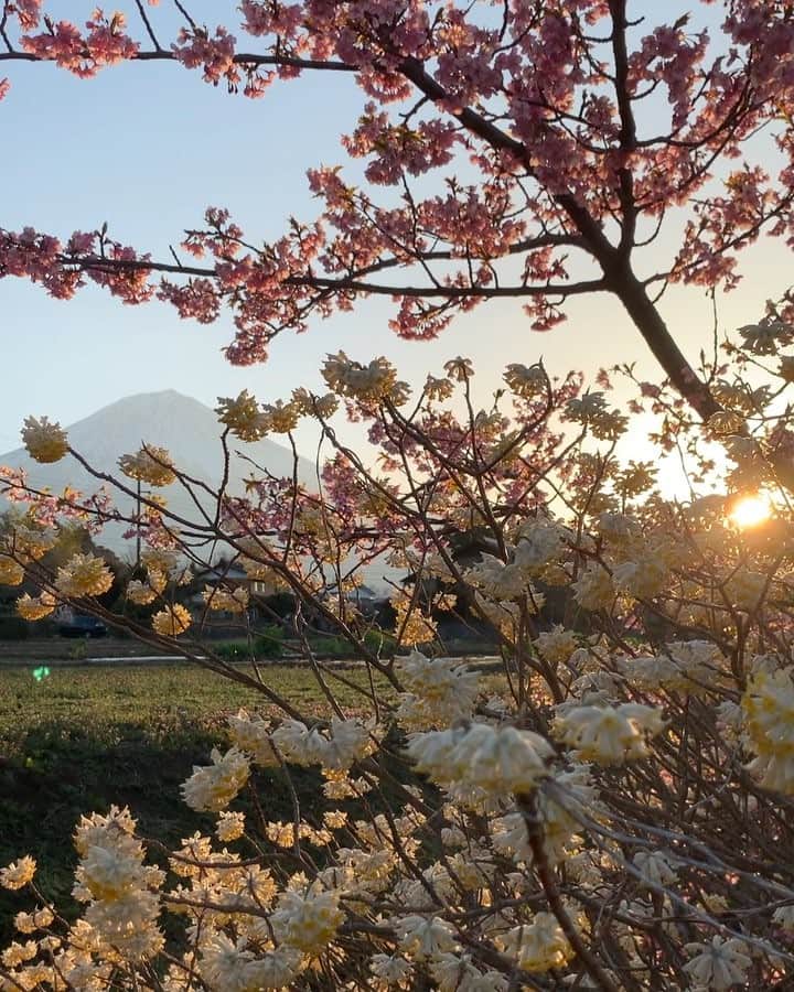 phantastic420のインスタグラム：「. 🤩🤩“Shizuoka” prefecture in Japan is a place where you can see the most “phantastic” Mt. Fuji🗻 in the world.🤩 #富士山 #mtfuji #japan #shizuoka #fujinomiya  #phantastic420photography #mostphantasticmtfuji #selamatpagi  #goodmorning  #おはようございます 😇😇😇😇😇😇😇🗻😇😇 仕事しま〜す🤣」