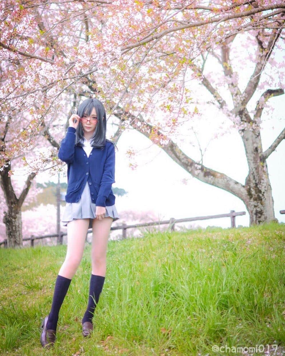 のインスタグラム：「インスタでも春分の日🎌 ツイートはこちら💁‍♀️ https://twitter.com/chamomi017/status/1108578655729389569?s=21 #桜 #桜🌸 #開花 #春 #JK 東京都心で桜の開花宣言🌸 春がやってきました🌷🐝🌱 #japan #日本 #event #photo #chamomile #chami #chamicosplay #chamomilecosplay #anime #game #gamer #カモミール #制服 #コスプレ #コスプレ好き #コスプレイヤー #コスプレイヤー自画撮り部 #コスプレ好き」