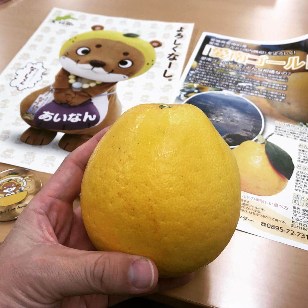 井手大介のインスタグラム：「愛媛県の愛南市のなーしくんなーし 愛南ゴールド美味しかったなーし」