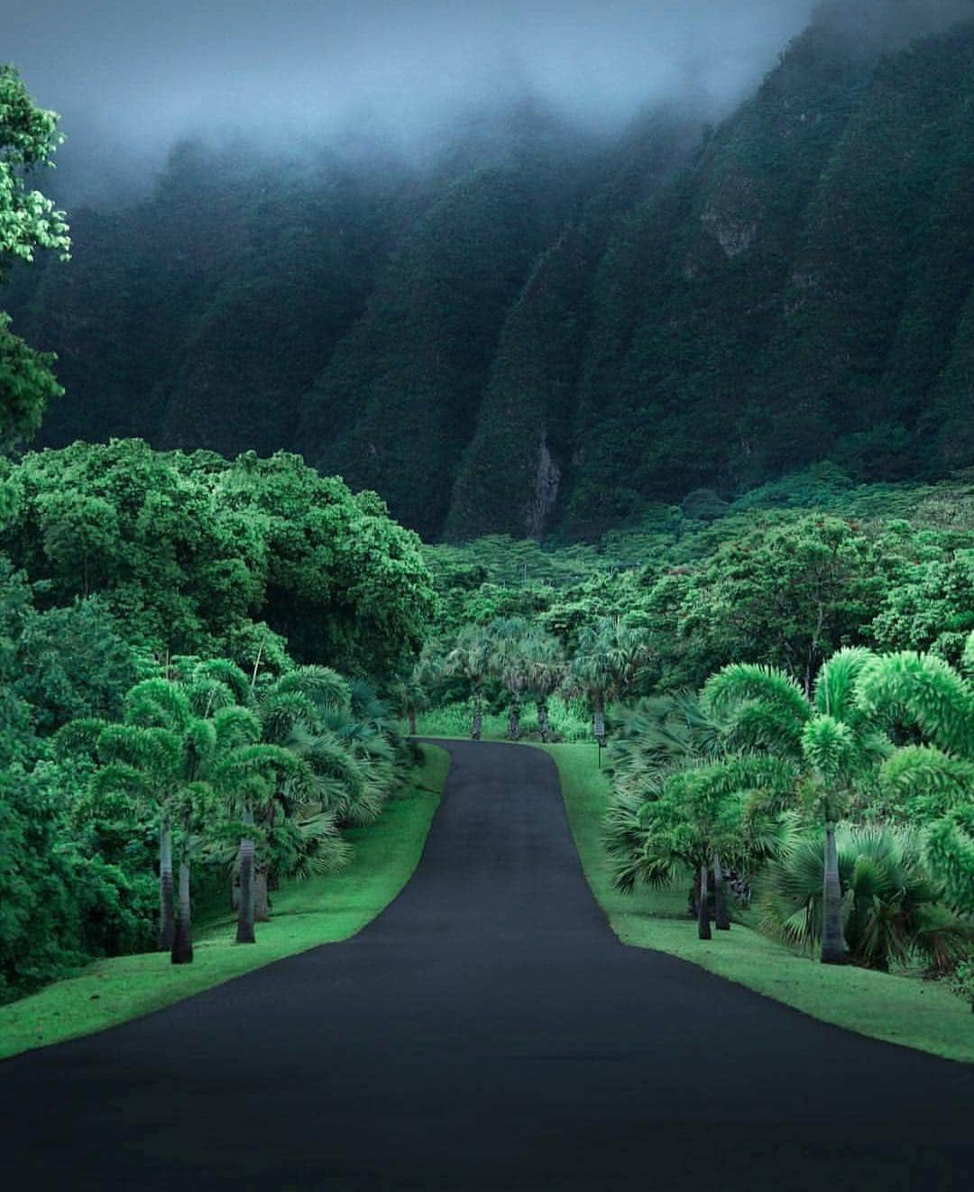 Earth Picsさんのインスタグラム写真 - (Earth PicsInstagram)「Volcanic Paradise in Hawaii by @mydetoxtravel」3月21日 17時44分 - earthpix